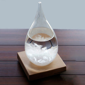 Monitor Bottle Barometer